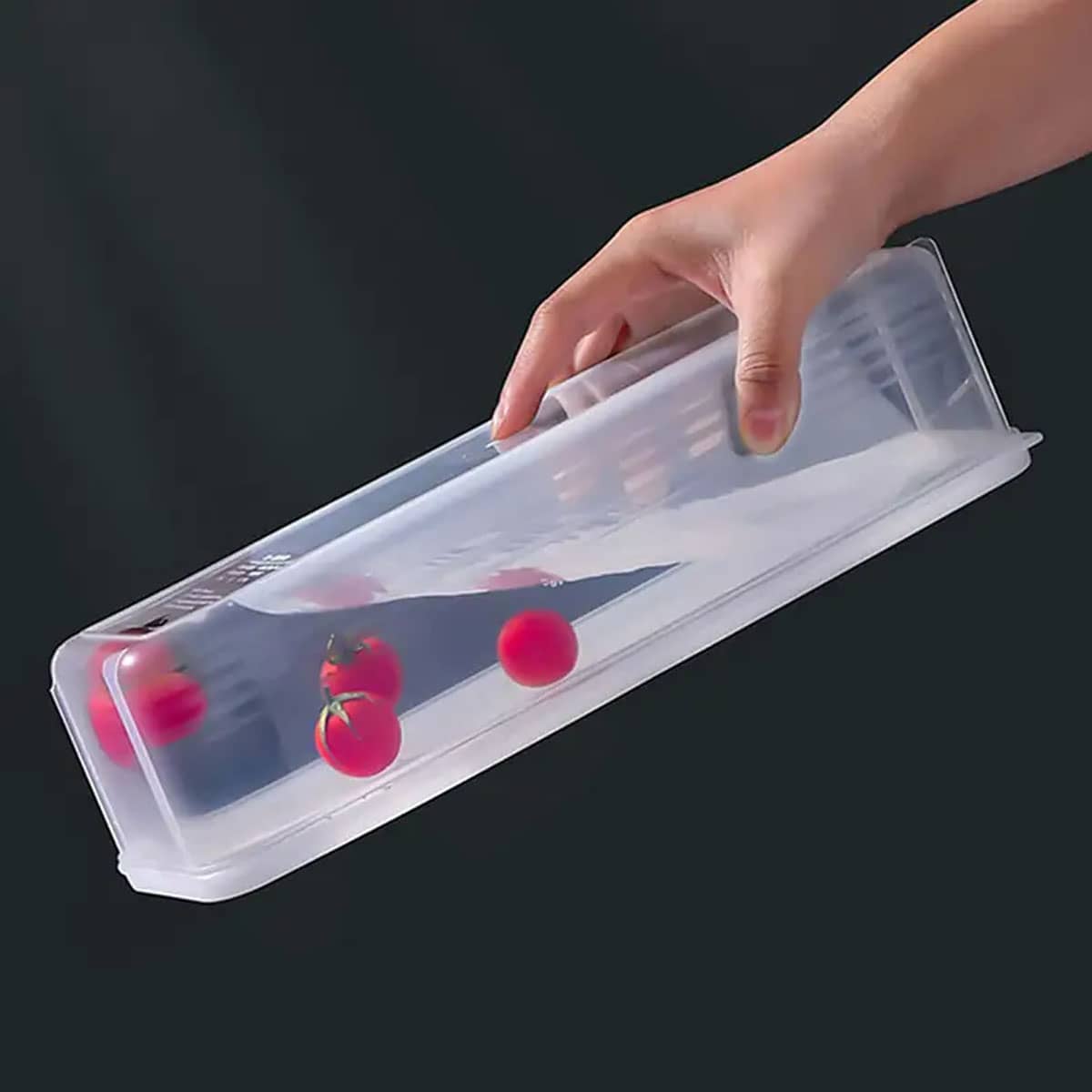 1 Plastic Transparent Storage  - огляд і ціна Food Storage Ideas